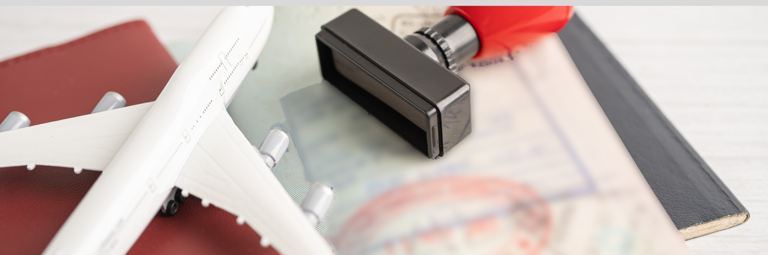 Dl Flussi, Zini (Assindatcolf): bene le misure per badanti, ora estenderle a tutto il settore